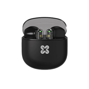 Earbuds